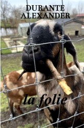 La folie