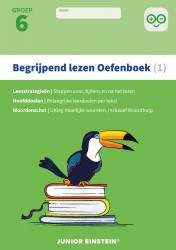 Begrijpend lezen