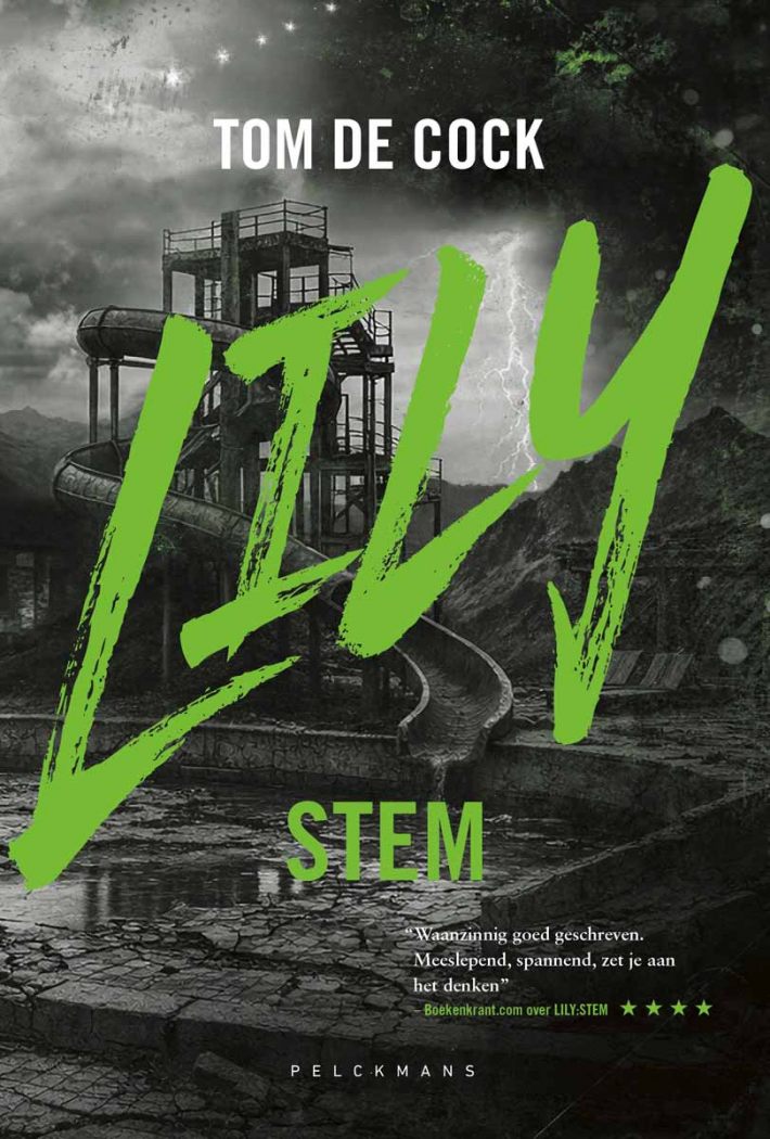 LILY: Stem