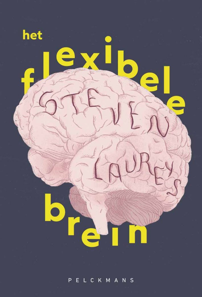 Het flexibele brein Het flexibele brein