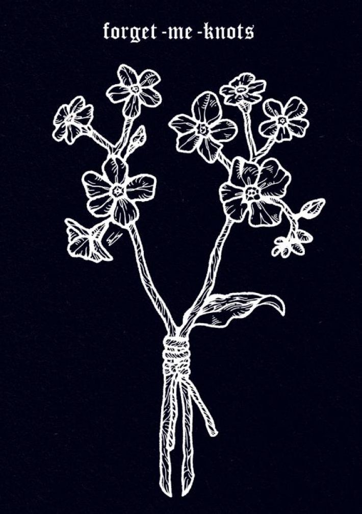 forget me knots forget me knots
