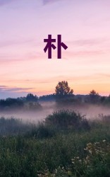Eenvoud