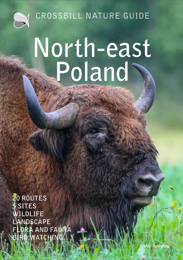 Crossbill Nature Guide Northeast Poland Crossbill Nature Guide Northeast Poland