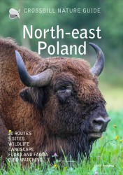 Crossbill Nature Guide Northeast Poland Crossbill Nature Guide Northeast Poland