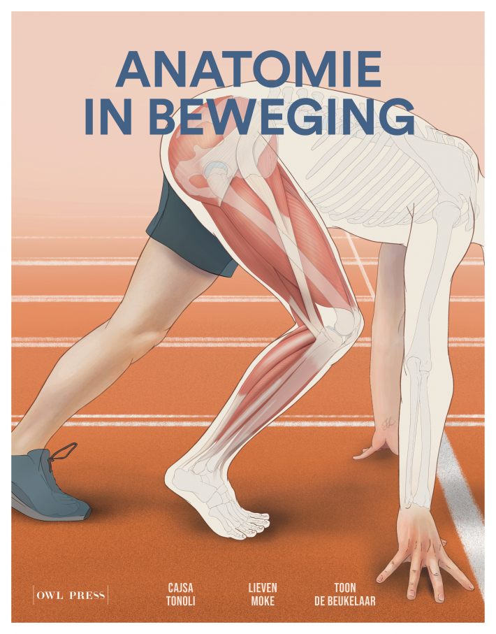 Anatomie in beweging Anatomie in beweging