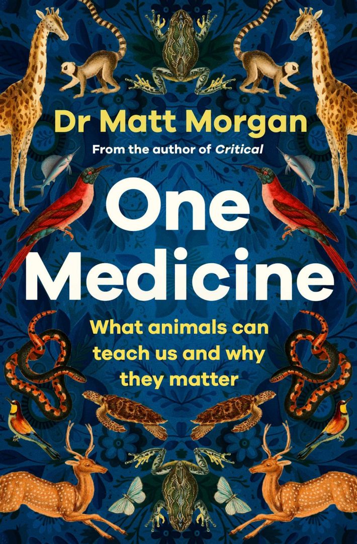 One Medicine One Medicine