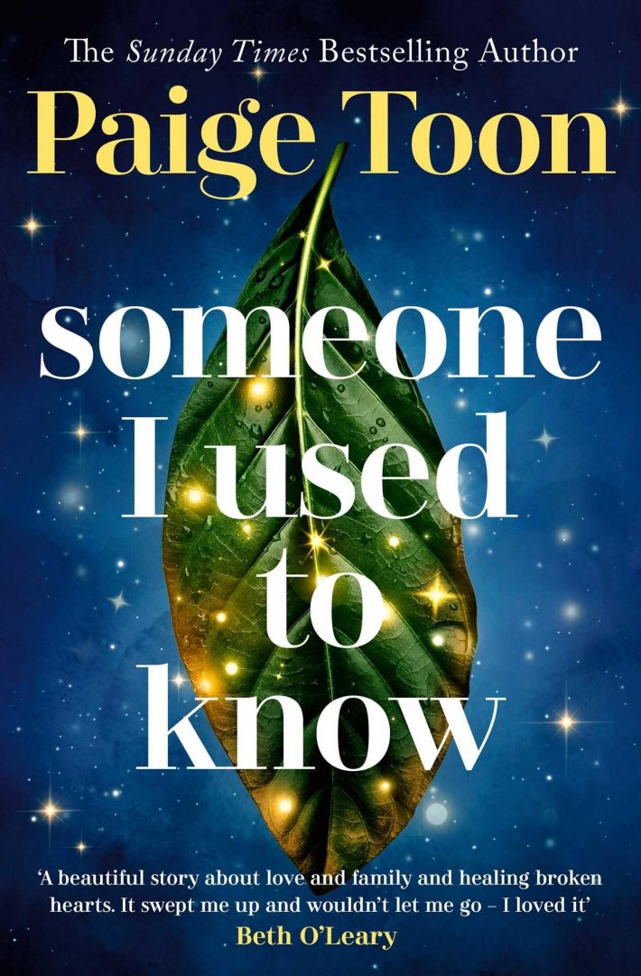 Someone I Used to Know Someone I Used to Know