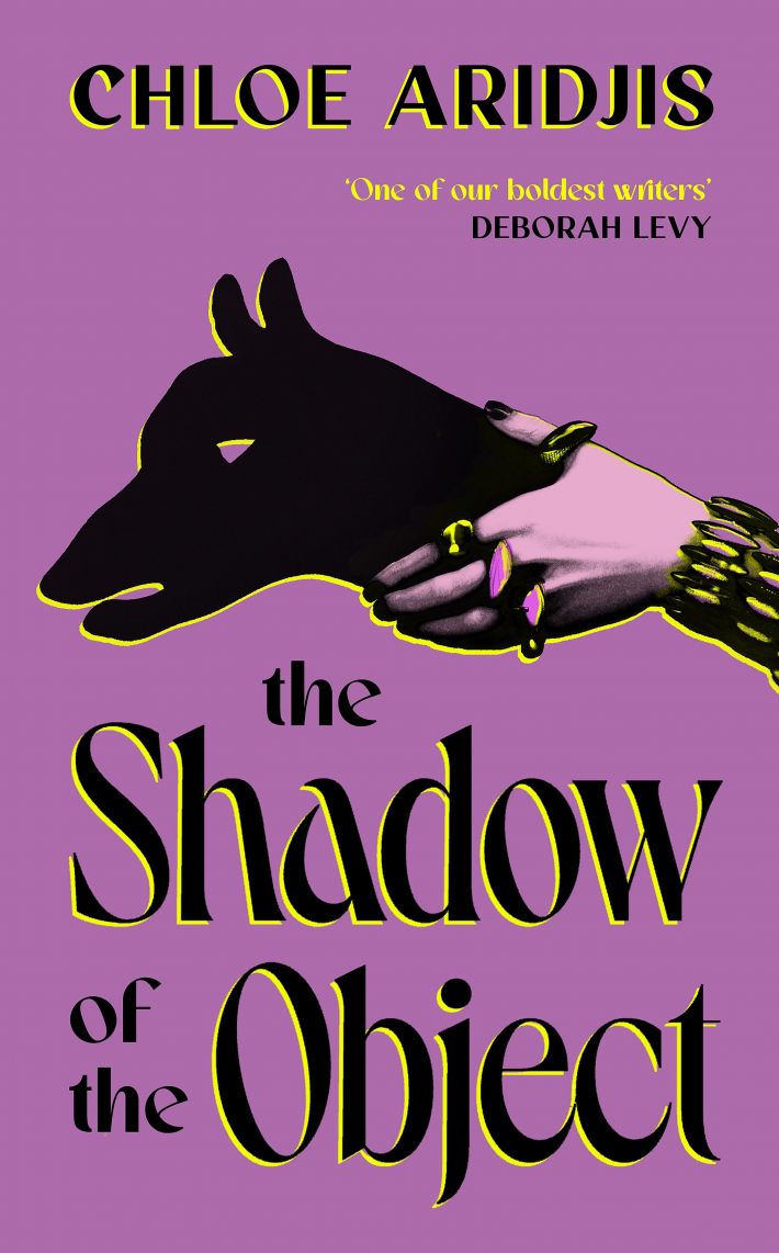 The Shadow of the Object The Shadow of the Object