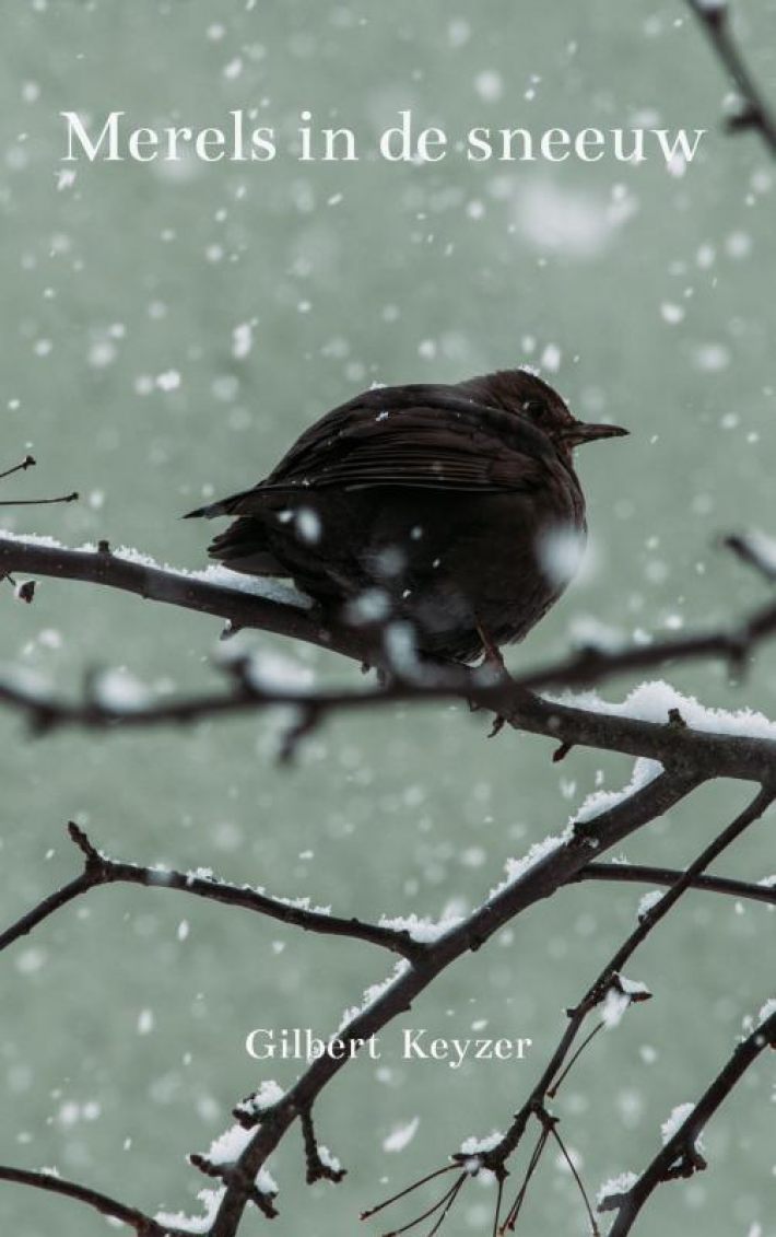 Merels in de sneeuw