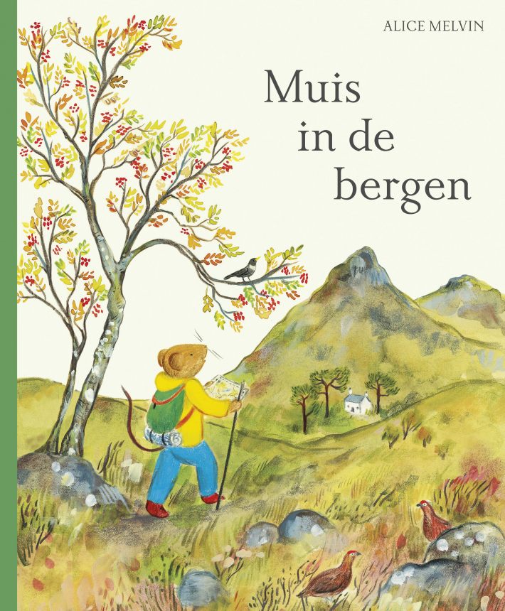 Muis in de bergen