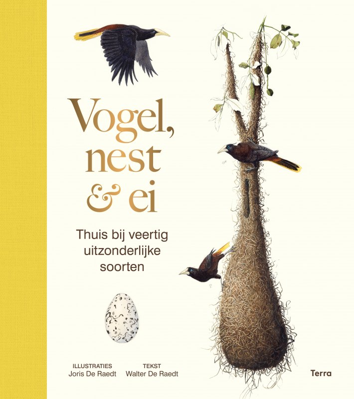 Vogel, nest & ei Vogel, nest & ei