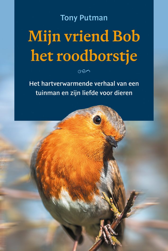 Mijn vriend Bob het roodborstje