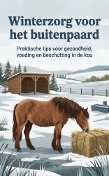 Winterzorg voor het buitenpaard