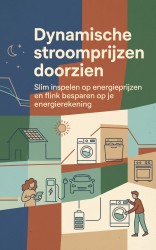Dynamische stroomprijzen doorzien
