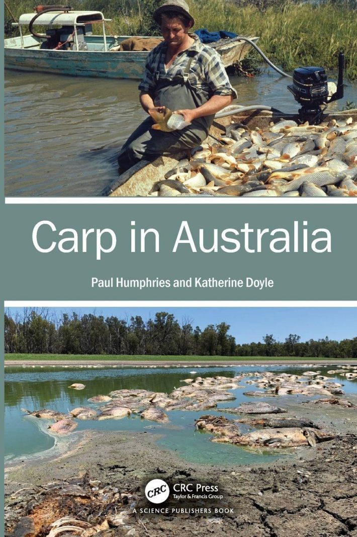 Carp in Australia Carp in Australia