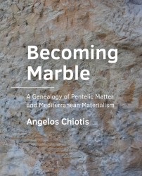 Becoming Marble