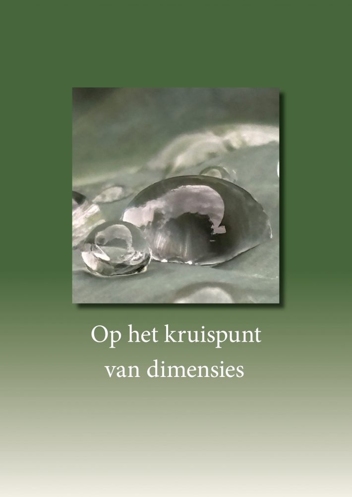 Op het kruispunt van dimensies
