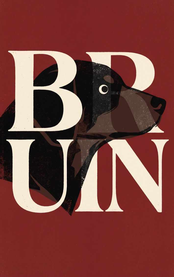 Bruin