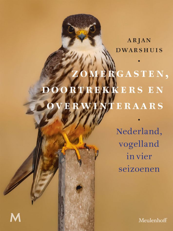 Zomergasten, doortrekkers en overwinteraars &bullet; Zomergasten, doortrekkers en overwinteraars