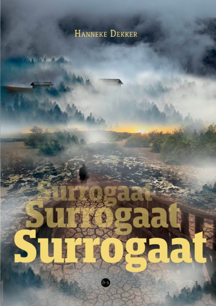 Surrogaat Surrogaat