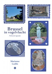 Brussel in vogelvlucht