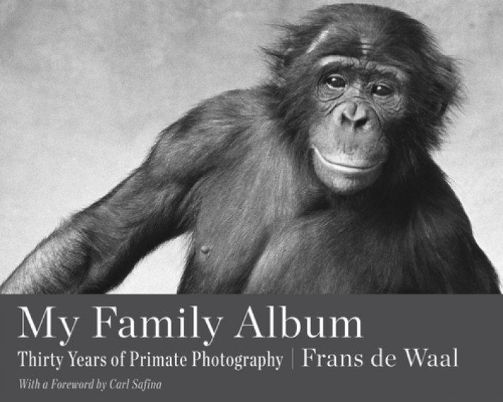 My Family Album My Family Album