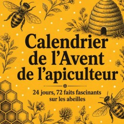 Calendrier de l’Avent de l’apiculteur