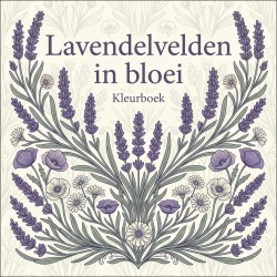 Lavendelvelden in bloei