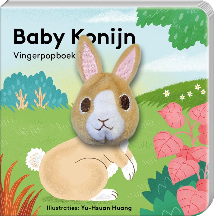 Baby Konijn Baby Konijn