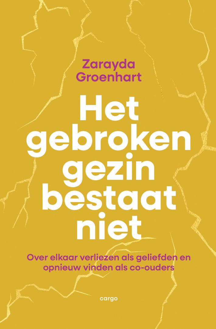 Het gebroken gezin bestaat niet