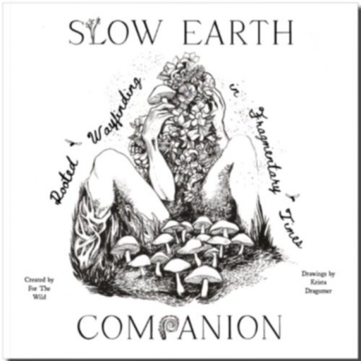 Slow Earth Companion