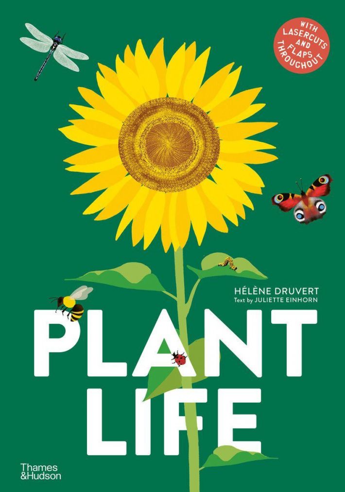 Plant Life Plant Life