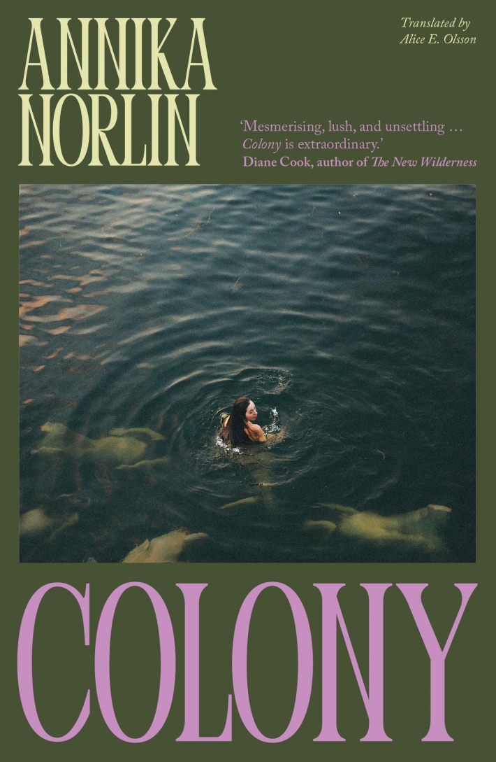 Colony