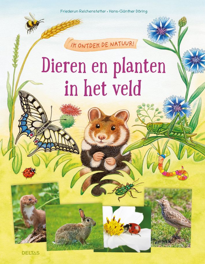 Ik ontdek de natuur! Dieren en planten in het veld Ik ontdek de natuur! Dieren en planten in het veld