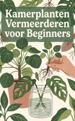 Kamerplanten Vermeerderen voor Beginners