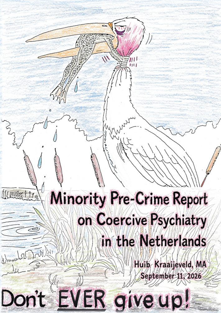Minority Pre-Crime Report on Coercive Psychiatry in the Netherlands