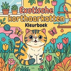 Exotische korthaarkatten
