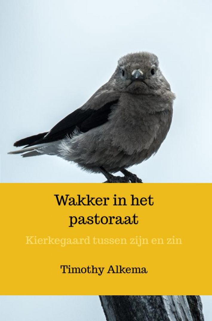 Wakker in het pastoraat Wakker in het pastoraat