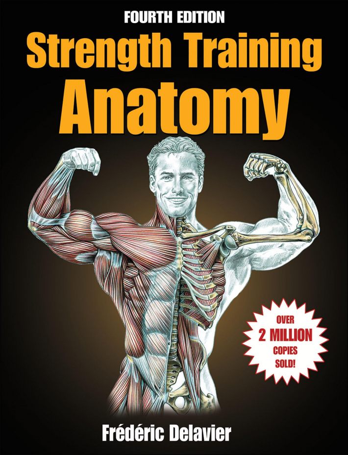 Strength Training Anatomy Strength Training Anatomy