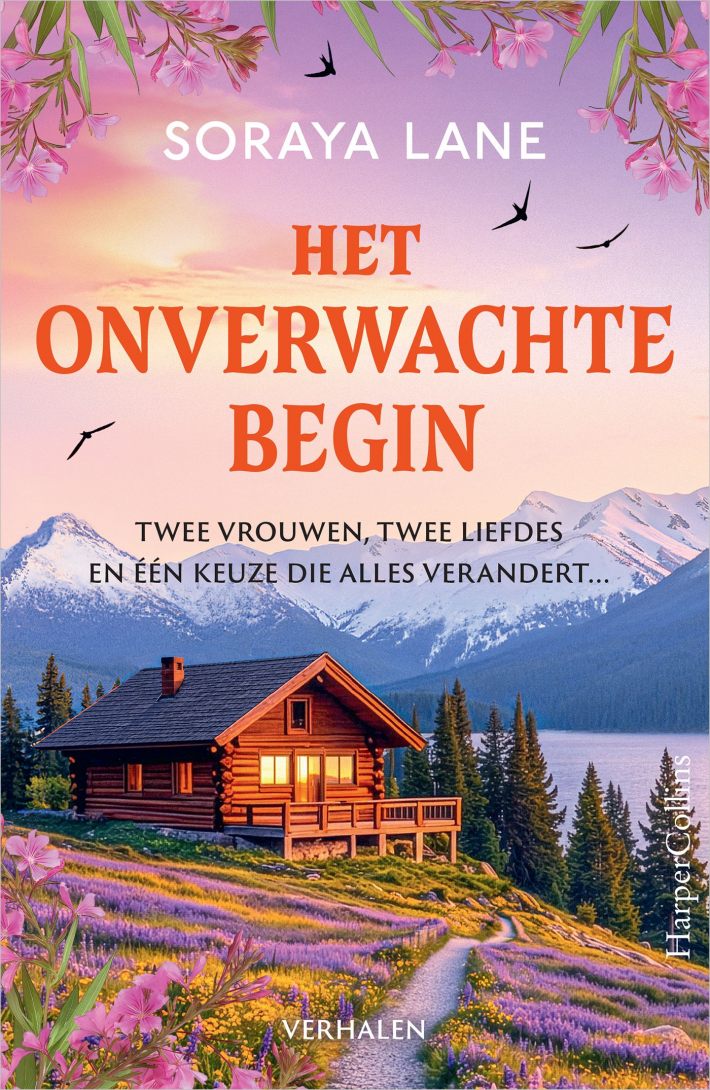 Het onverwachte begin Het onverwachte begin