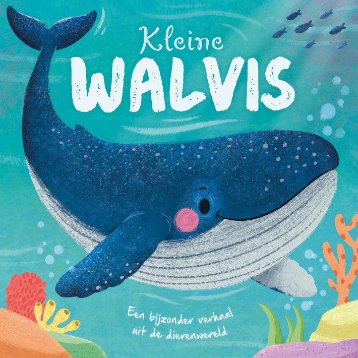 Kleine Walvis